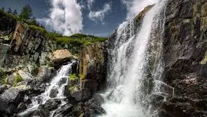 /static/images/herder/1947186749562163200.webp