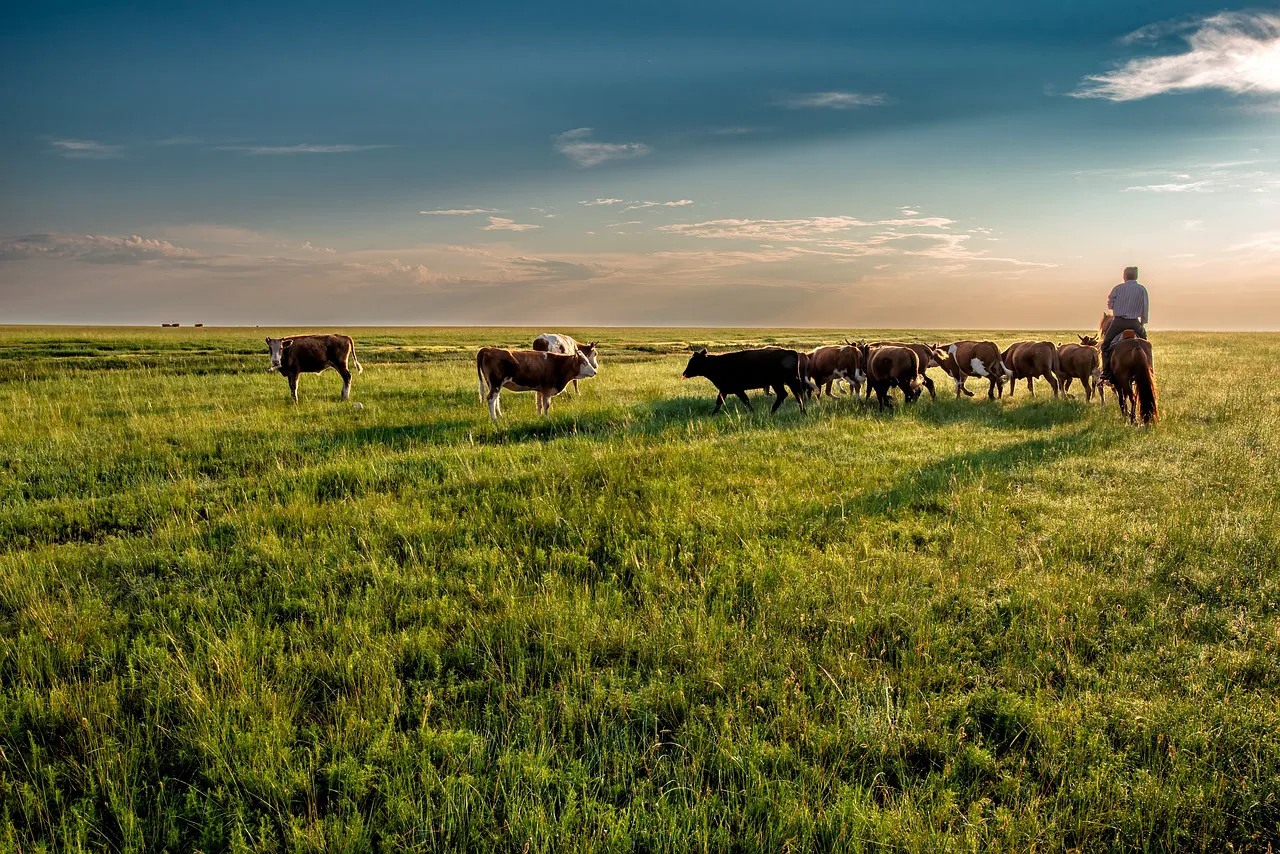 /static/images/herder/1947215349078298624.webp