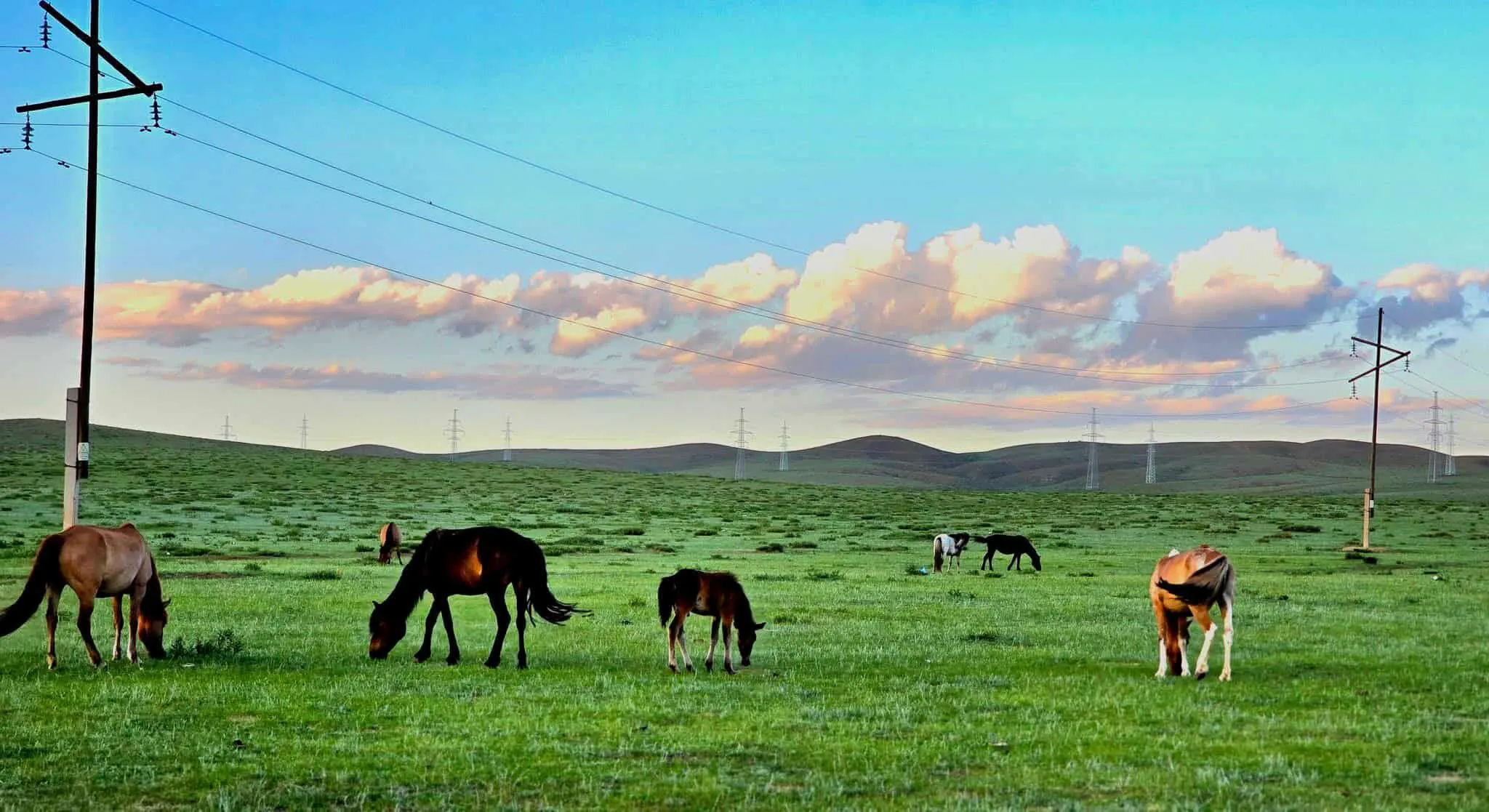 /static/images/herder/1977082118483742720.webp